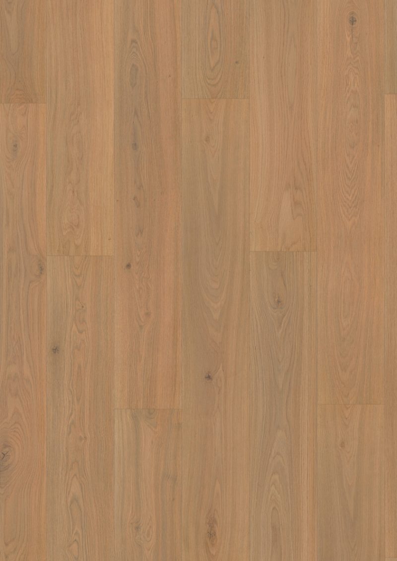 323B Roble Crescendo