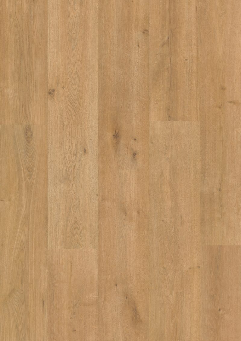 368B Roble Vera Homenaje