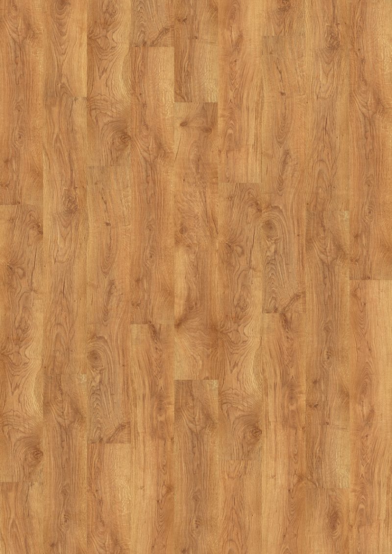 49E Liverpool Oak