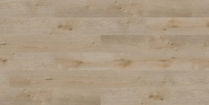 9550 Camel Royal Oak