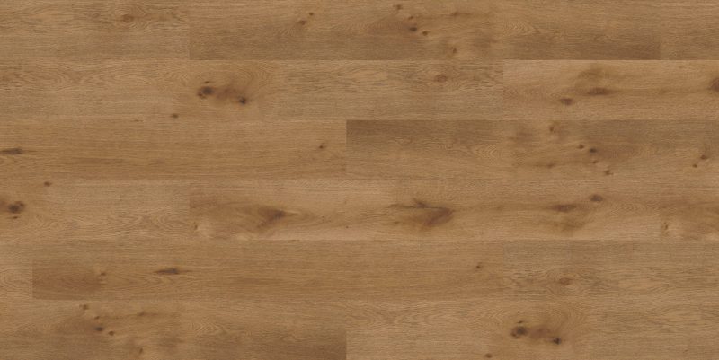 9551 Honey Royal Oak