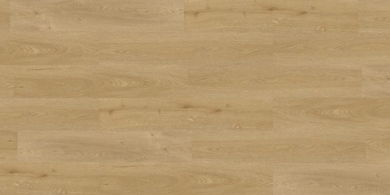 9571 Camel Mountain Oak