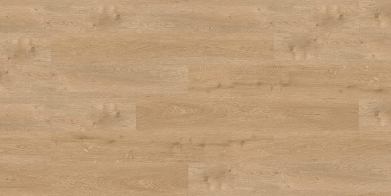 9574 Sepia Mountain Oak