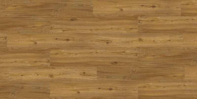 9817 Honey Summer Oak