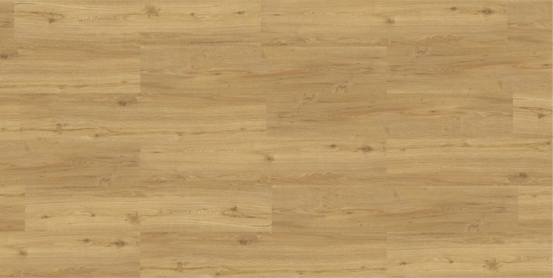 9505 Gold Summer Oak